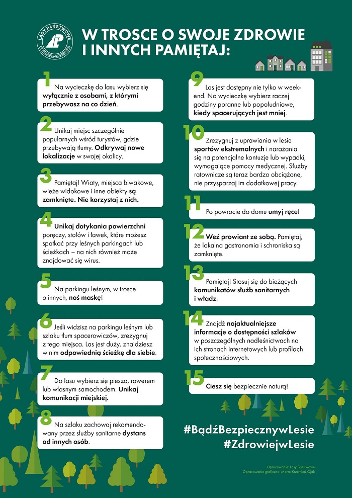 Poradnik, jak bezpiecznie zachować się w lesie
