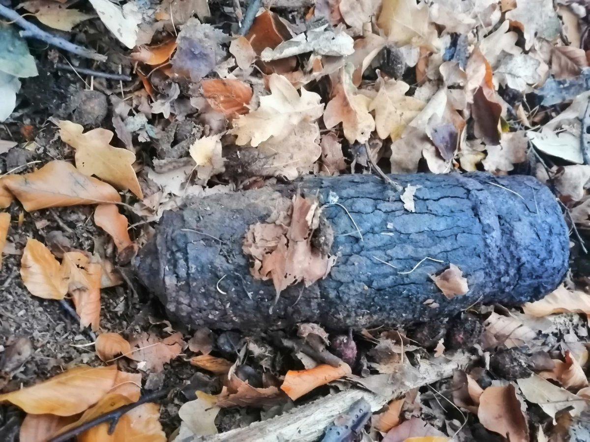 Zdjęcie przedstawia teren leśny, na którym leży pocisk przeciwpancerny. 