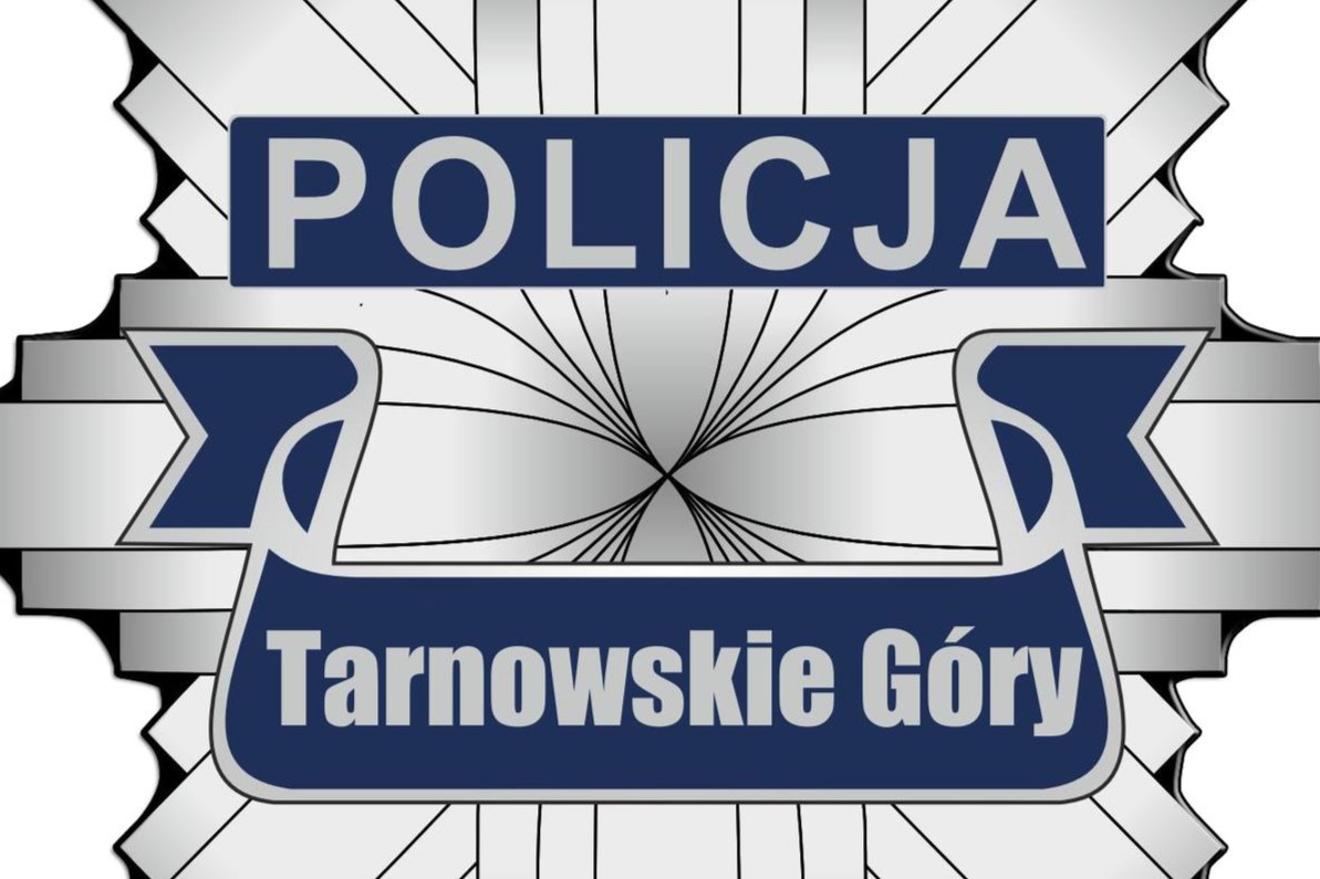 logo policji