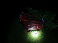 Na fotografii widać sklepowy wózek wewnątrz, którego znajdują się akumulatory