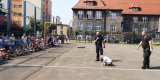 policyjni przewodnicy psów podczas pokazowej tresury