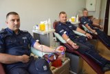 na zdjęciu widać oddających krew policjantów