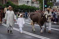 Na fotografii widać idących ulicą, przebranych za historyczne postacie, uczestników pochodu. Po obydwu stronach ulicy znajduje się tłum ludzi.