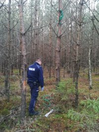 Na fotografii widać las, w którym znajduje się policjant. Na jednym z drzew widać przywiązaną do drzewa linę.