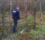 Na fotografii widać las, w którym znajduje się policjant. Na ziemi widać leżący kawałek liny.