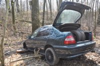 zaparkowany w zaroślach samochód osobowy. Widać otwartą tylną klapę