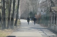 fotografia kolorowa: widok alejki w parku, po której spacerują dwie osoby