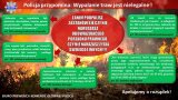 Infografika