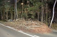 Na zdjęciu widać drogę. Na jednym pasie ruchu leży przewrócone drzewo