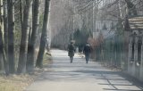 fotografia kolorowa: droga w lesie, po której obok siebie idą kobieta i mężczyzna