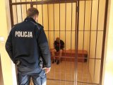 na fotografii widać policjanta, który patrzy na siedzącego w celi, zatrzymanego mężczyznę