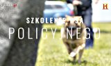 Na zdjęciu widać biegnącego psa. Tekst na grafice: szkolenie psa policyjnego
