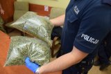 Na zdjęciu widać policjanta, który trzyma w dłoniach worki strunowe wypełnione suszem roślinnym