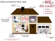 Grafika: Budynek mieszkalny z garażem, w którym widać poszczególne pomieszczenia między innymi łazienkę, kuchnię, sypialnię, czy pokój z kominkiem. Tekst na grafice: Miejsca powstawania tlenku węgla, nie dla czadu - trujący, bezwonny, bezbarwny