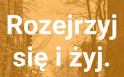 Na żółtym tle widnieje napis: Rozejrzyj się i żyj.
