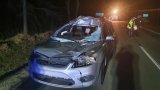 Na zdjęciu widać samochód biorący udział w zderzeniu z łosiem. Auto jest kompletnie zniszczone: ma zgniecioną maskę, wybitą przednią szybę zgnieciony dach. Obok samochodu widać policjantkę wykonującą czynności.