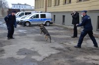 Na zdjęciu widać dwóch policjantów oraz fotografa. Jeden z policjantów trzyma psa na smyczy, a ten atakuje drugiego policjanta. W tle zdjęcia widać policyjne radiowozy.