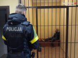 Zdjęcie przedstawia policjanta, który obserwuje mężczyznę siedzącego w policyjnej celi.