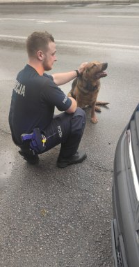 Na zdjęciu widać policjanta, który głaszcze psa.