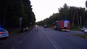 Na zdjęciu widać drogę w miejscu wypadku. Znajduje się na niej samochód skoda, w rowie samochód honda, a na poboczu widoczny jest wóz strażacki i policyjny radiowóz.
