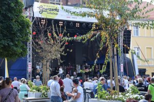 Na zdjęciu widać scenę, na której występują artyści. Przed sceną widać uczestników imprezy