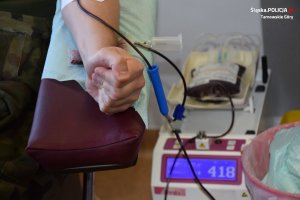 Zaciśnięta w pięść dłoń. Z ręki, wężykiem, spływa krew.