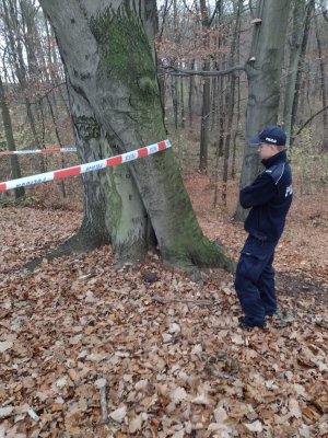 Na zdjęciu widać policjanta zabezpieczającego miejsce znalezienia niewybuchu. Teren odgrodzony jest taśmą