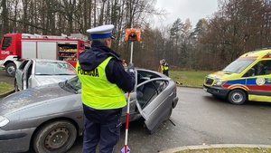 Na zdjęciu widoczny wóz strażacki, ambulans oraz policjanci w trakcie działań