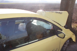 na zdjęciu żółty samochód osobowy z rozbitym przodem stojący przy drzewie