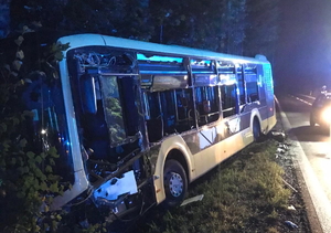 na zdjęciu autobus miejski w rowie