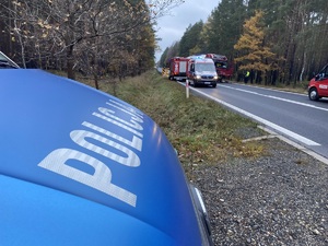 na zdjęciu maska policyjnego radiowozu, w oddali wozy strażackie, karetka pogotowia i ciężarówka z naczepą