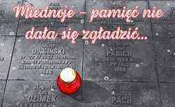 na zdjęciu płyta nagrobkowa, na niej czerwony znicz i napis Miednoje - pamięć nie dała się zgładzić