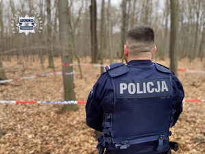 na zdjęciu policjant przy ogrodzonym taśmą z napisem policja miejscu w lesie