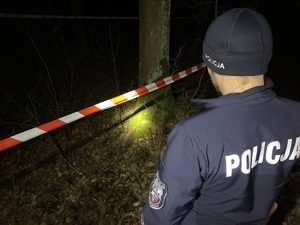 na zdjęciu policjant przy taśmie zabezpieczającej, a za nią pocisk przy drzewie