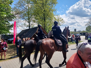 na zdjęciu policjanci na koniach wśród ludzi