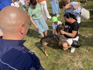 na zdjęciu policjant tyłem do obiektywu obserwujący jak kobieta głaska policyjnego psa służbowego