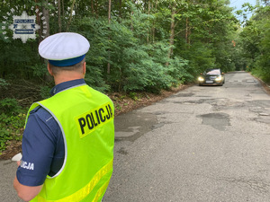 na zdjęciu policjant na jezdni, a przed nim nadjeżdżający samochód