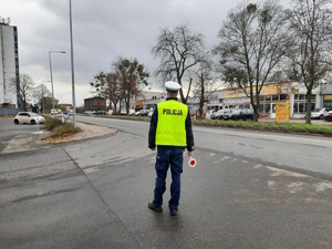 na zdjęciu policjant w kamizelce przy drodze