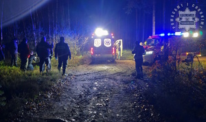 Na zdjęciu karetka pogotowia wóz strażacki obok nich osoby na terenie leśnym