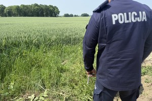 na zdjęciu policjant przy polu, gdzie leży niewybuch