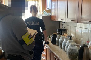 na zdjęciu policjanci przy kuchennym blacie, gdzie leżą słoiki z zielonym suszem