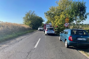 na zdjęciu samochodu, radiowóz i wóz strażacki