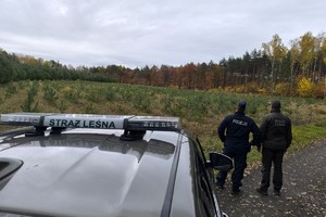 na zdjęciu neon straży leśnej na samochodzie, przed nim policjant i strażnik leśny
