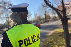 na zdjęciu policjantka przy drodze