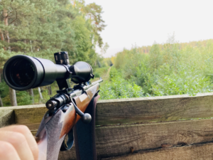 na zdjęciu broń myśliwska w rękach osoby i teren leśny