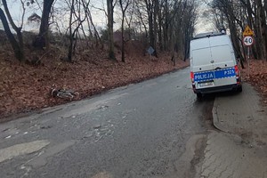 na zdjęciu radiowóz i obok przewrócony rower