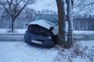 na zdjęciu biały bus z uszkodzonym przodem przy drzewie