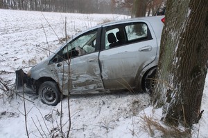 na zdjęciu samochód przy drzewie