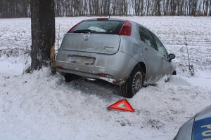 na zdjęciu samochód przy drzewie