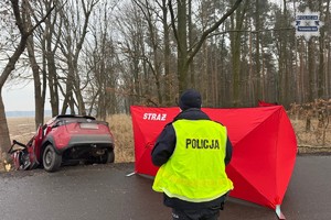 na zdjęciu rozbity samochód częściowo w rowie, obok parawan, a przed nim policjant